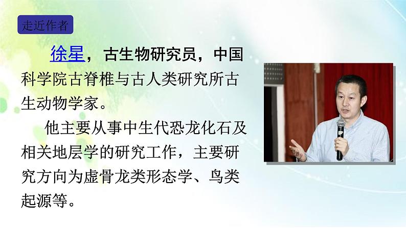 6、部编版四年级下册语文《飞向蓝天的恐龙》 课件04