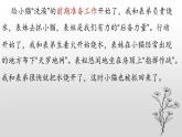 六年级语文写作专项——叙事（童年时期）一课件PPT