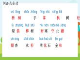 2.《树之歌》（第一课时）课件+教案+同步练习