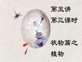 六年级语文写作专项——状物篇之植物（三）课件PPT