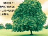 部编版三年级下册17.我变成了一棵树【第1课时】课件PPT
