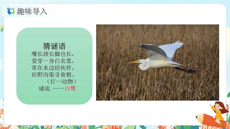 1.1《白鹭》课件+教案+练习04