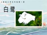 1《白鹭》课件+教案