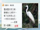 1《白鹭》课件+教案