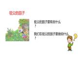 部编版五年级下册第一单元2 祖父的园子 课件