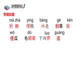部编版五年级下册第一单元2 祖父的园子 课件