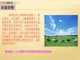 19 牧场之国教案共2课时 (1)课件PPT