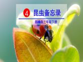 部编版三年级下册语文《昆虫备忘录》 课件