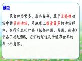 部编版三年级下册语文《昆虫备忘录》 课件