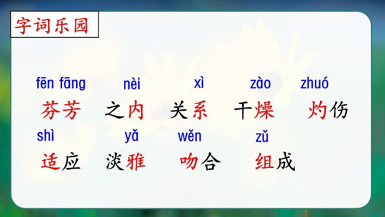 部编版三年级下册语文《花钟》　课件第6页