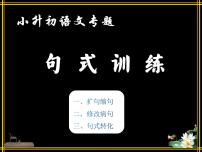 小升初专题：句式训练（扩句缩句+修改病句+句式转换）（课件）-2021-2022学年语文六年级下册