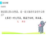 二年级语文下册课件-19 大象的耳朵（共15张PP）-部编版