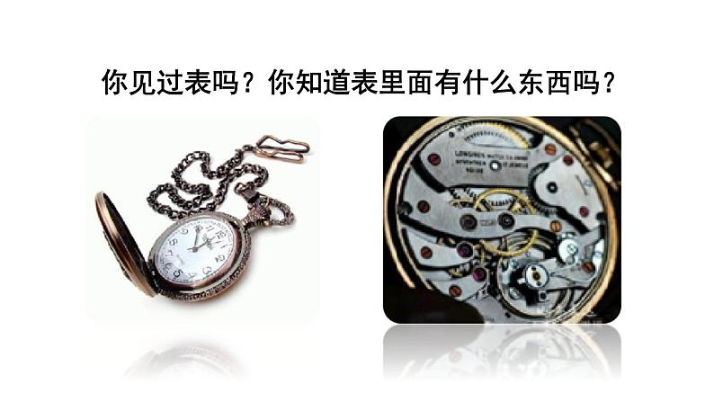 部编版六年级语文下册课件---16.表里的生物02