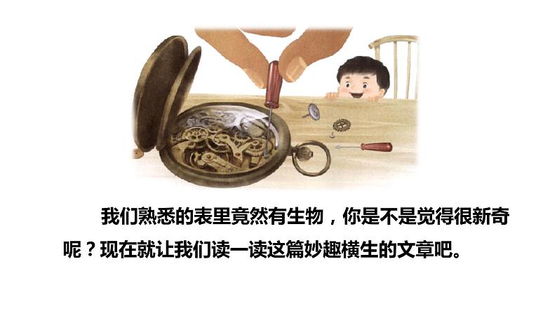 部编版六年级语文下册课件---16.表里的生物03