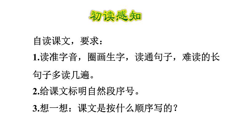 部编版六年级语文下册课件---15.真理诞生于一百个问号之后第8页