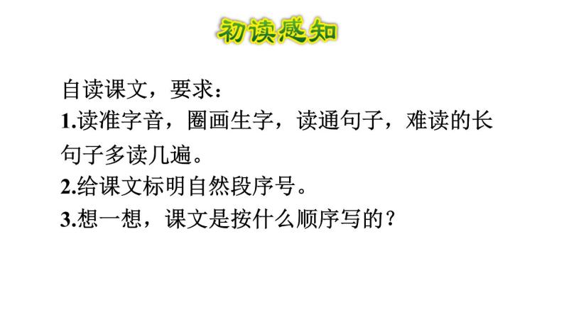 部编版六年级语文下册课件---11.十六年前的回忆05