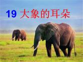 小学语文人教课标版（部编）二年级下册大象的耳朵2课件