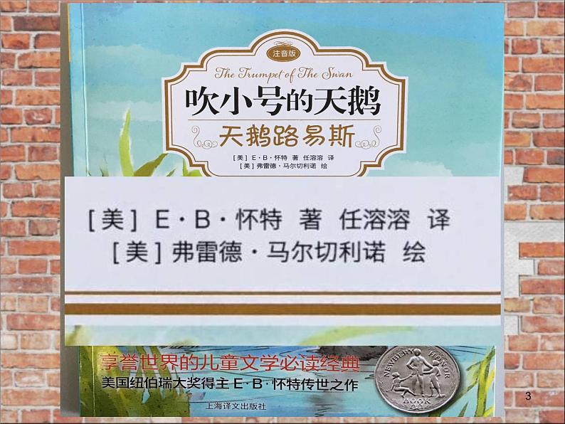 小学语文人教课标版（部编）二年级下册语文园地六我爱阅读1课件第3页