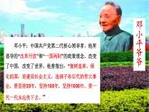 小学语文人教课标版（部编）二年级下册邓小平爷爷植树课件