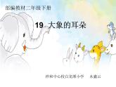 小学语文人教课标版（部编）二年级下册大象的耳朵课件