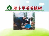 小学语文人教课标版（部编）二年级下册邓小平爷爷植树5课件
