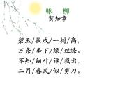 小学语文人教课标版（部编）二年级下册咏柳3课件