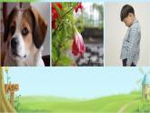 小学语文人教课标版（部编）二年级下册大象的耳朵5课件