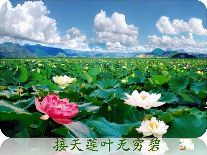 小学语文人教课标版（部编）二年级下册晓出净慈寺送林子方1课件第8页