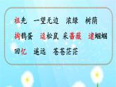 小学语文人教课标版（部编）二年级下册祖先的摇篮课件