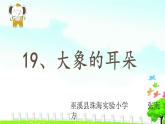 小学语文人教课标版（部编）二年级下册大象的耳朵课件