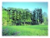 小学语文人教课标版（部编）二年级下册17要是你在野外迷了路课件