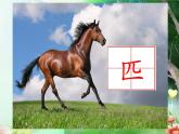 小学语文人教课标版（部编）二年级下册7一匹出色的马课件