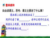 小学语文人教课标版（部编）二年级下册 《画杨桃》课件