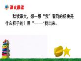 小学语文人教课标版（部编）二年级下册 《画杨桃》课件