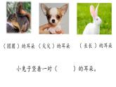 小学语文人教课标版（部编）二年级下册9大象的耳朵3课件