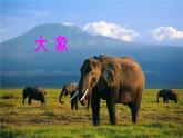 小学语文人教课标版（部编）二年级下册9大象的耳朵3课件