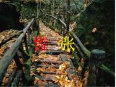 小学语文人教课标版（部编）二年级下册17要是你在野外迷了路课件