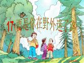 小学语文人教课标版（部编）二年级下册17要是你在野外迷了路课件