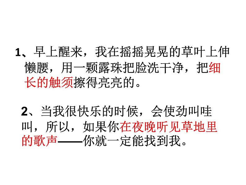 小学语文人教课标版（部编）二年级下册11我是一只小虫子课件08