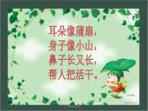 小学语文人教课标版（部编）二年级下册19大象的耳朵课件