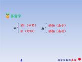 小学语文人教课标版（部编）二年级下册19大象的耳朵课件
