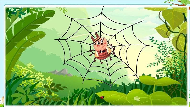 小学语文人教课标版（部编）二年级下册2蜘蛛开店3课件第3页