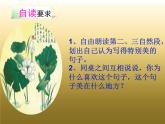 小学语文人教课标版（部编）三年级下册3荷花 5课件PPT