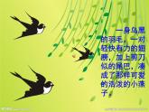 小学语文人教课标版（部编）三年级下册2燕子课件PPT
