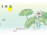小学语文人教课标版（部编）三年级下册3荷花 2课件PPT