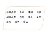 小学语文人教课标版（部编）三年级下册3荷花 2课件PPT