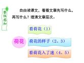 小学语文人教课标版（部编）三年级下册3荷花 2课件PPT