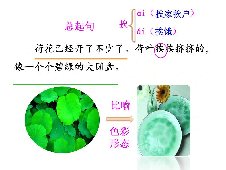小学语文人教课标版（部编）三年级下册3荷花 2课件PPT08