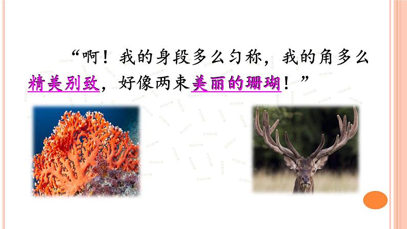 小学语文人教课标版（部编）三年级下册7鹿角和鹿腿课件PPT08