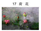小学语文人教课标版（部编）三年级下册3荷花课件PPT